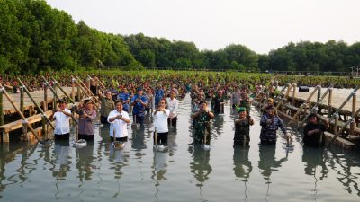 Tanam Mangrove Secara Serentak, Mabes TNI Raih Rekor Muri