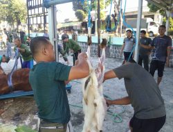 Wujud Rasa Syukur Hari Raya Idhul Adha, Kodim Boyolali Sembelih Hewan Kurban