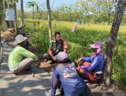 Babinsa Koramil 12 Bendosari aktif Komsos Sambangi Petani di Desa Mertan