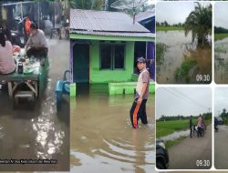 Banjir Landa 200 Rumah dan 90 Hektar Persawahan