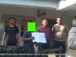 Maling Berondolan Sawit di PT.Cinta Raja Diberi Pembinaan