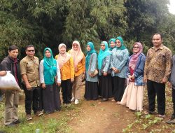 Dinas Perikanan Laksanakan Penebaran Benih Ikan (Restocking) Di Sungai Cicurug KP Sungapan