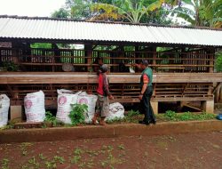 Babinsa Dorong Semangat Peternak Kambing Warga Binaan