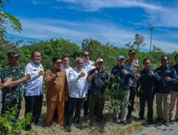 Mantan Petani Ganja Dapat Program Alternative Depelopment Dari BNN RI