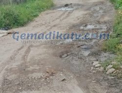 HALO DINAS PU KABUPATEN PESAWARAN JALAN KERTASANA MENUJU TANJUNG REJO KE GUNUNG SARI RUSAK PARAH