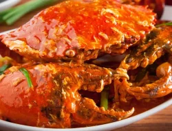 Resep dan Cara Membuat Kepiting Saus Padang yang Lezat