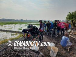 Memasuki Hari Ke-18, Satgas TMMD Ke-120 Kodim 0726/Sukoharjo Kebut Pengecoran Jalan