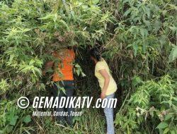 Warga Temukan Bayi Terlantar Di Kebun Teh Sidamanik