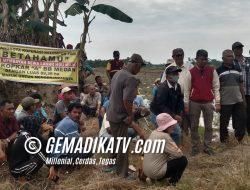 Lahan Sudah Dibayar Sewanya Namun Lahan Tak Bisa Dikelola, Koptan Beta Hamu Gelar Aksi Demo di Areal HGU Puskopkar A Bukit Barisan