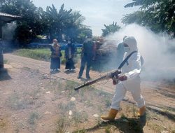 Puskesmas Biru-Biru Laksanakan Fogging di Desa Sidodadi Cegah Penyakit DBD