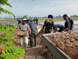 Droping Tanah urug tidak ada kendala, Proses Finishing Pengurugan Berm Terus Berjalan