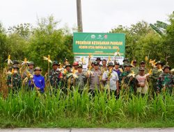 Kodim Boyolali Panen Raya Jagung Di Lahan Perhutani