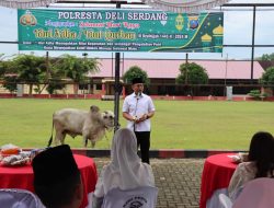 Hari Raya Idul Adha 1445 H, Seluruh Jajaran Polresta Deli Serdang sembelih 26 Ekor Hewan Qurban