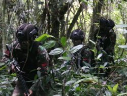 TNI Buru KKB Pembakar Sekolah Di Intan Jaya Papua Dan Menembak Dua Anggota KKB Saat Baku Tembak