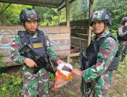 Laksanakan Patroli Rutin Perbatasan RI-PNG, Yonif 122/TS Kembali Temukan Narkoba Jenis Ganja