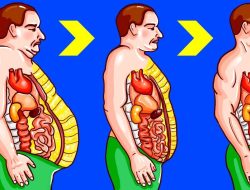 Langkah-Langkah Sederhana Menghilangkan Lemak Perut: Menuju Kesehatan Optimal